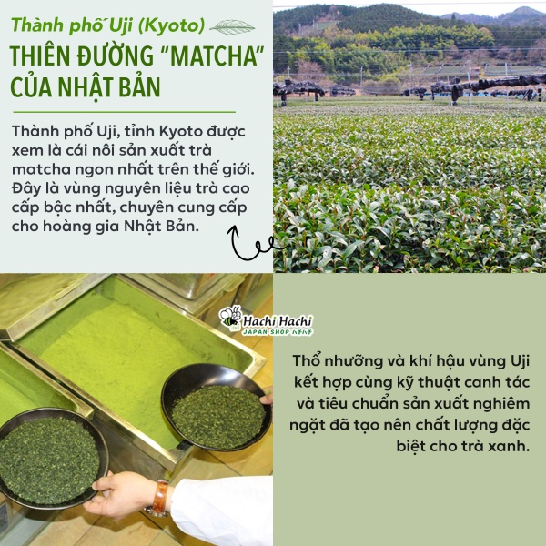Tra-gao-lut-matcha-uji-200g-(1).jpg